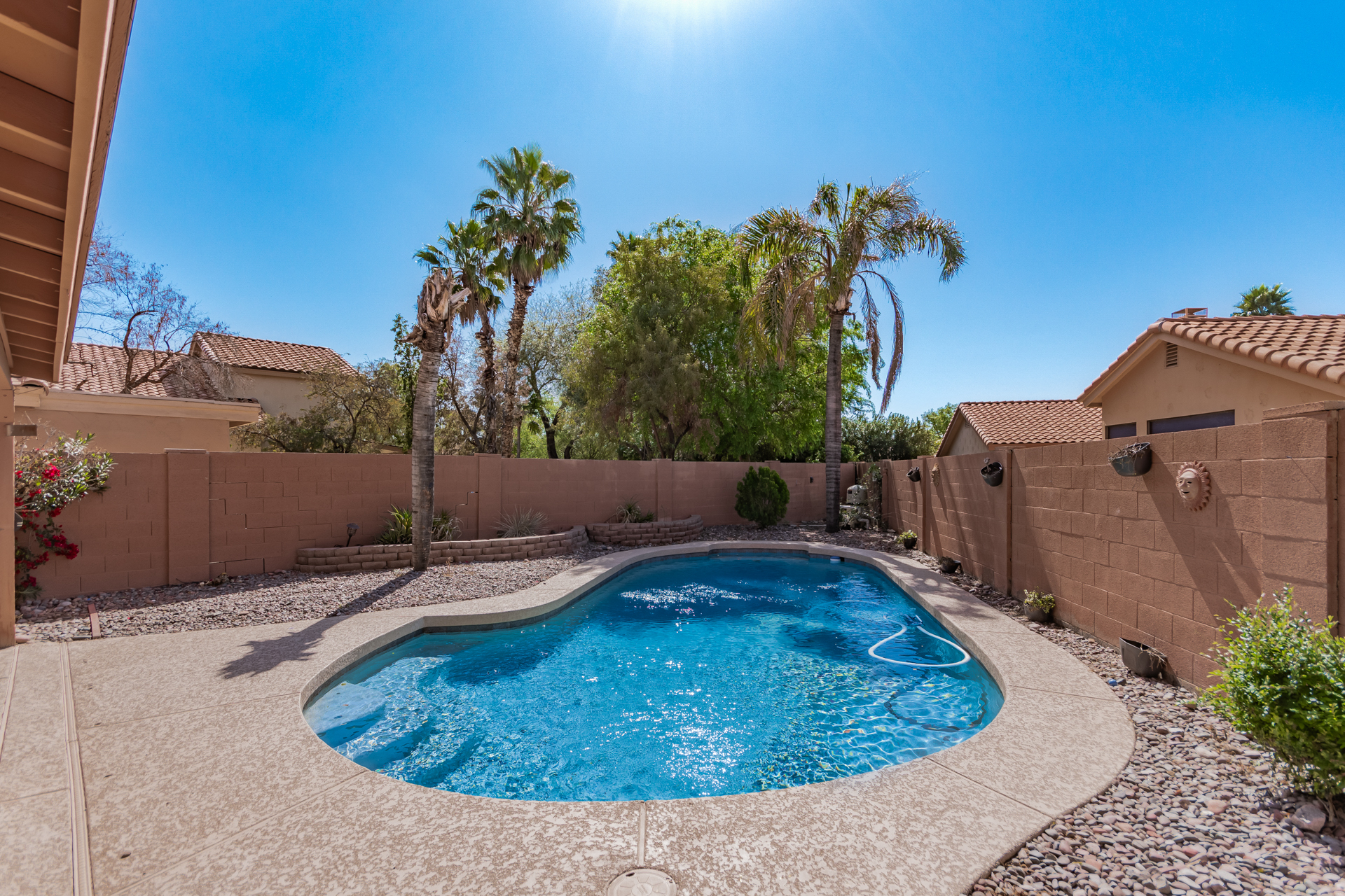 0041-41 – Windrose